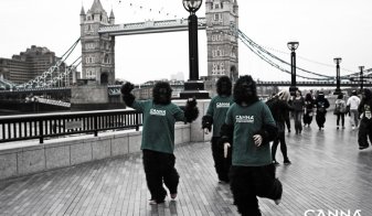 CANNA supported the Great Gorilla Run