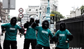 CANNA supported the Great Gorilla Run