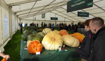 Malvern Autumn Show 2016