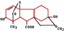 Plant hormones