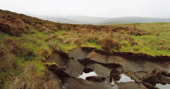 TERRA, about peat and feed