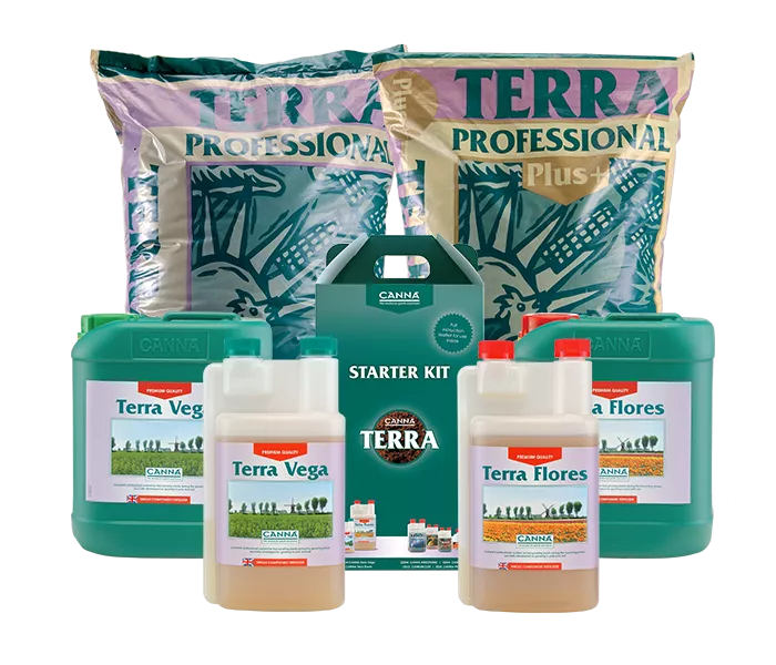 CANNA TERRA