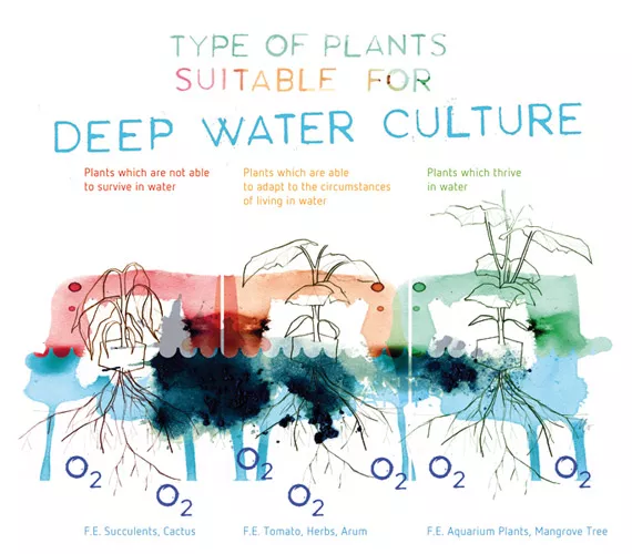 Is it worth using air injection in your nutrient tanks?