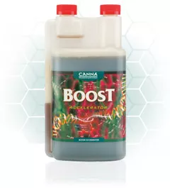 CANNABOOST a real BOOST
