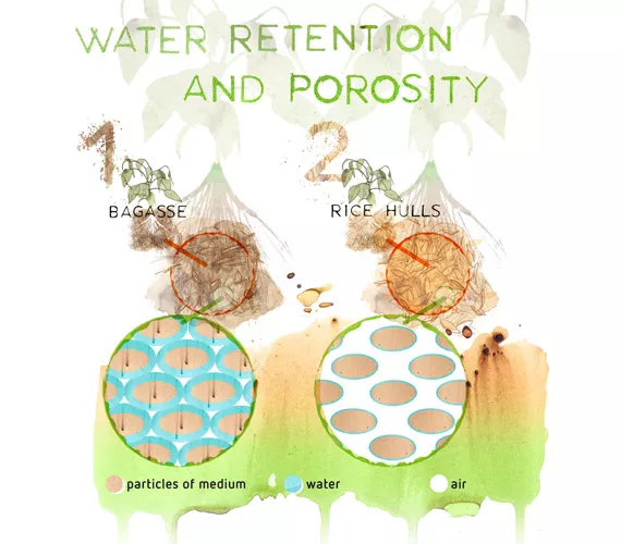 Soilless cultivation - What makes a good medium?