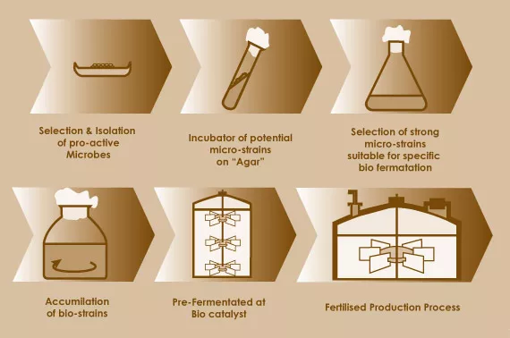 The whats and whys of organic growing - part 2