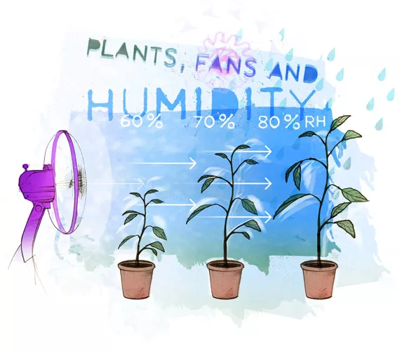 Plant Environment - Part 1