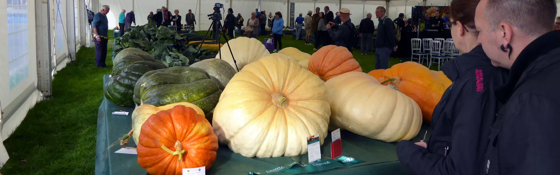 Malvern Autumn Show 2016