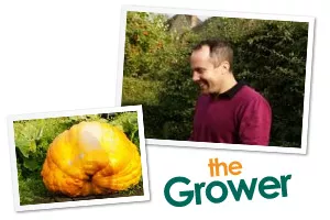 Diary of a pumpkin grower