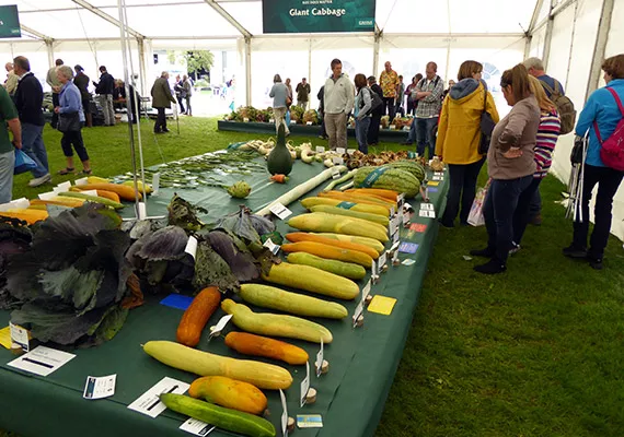 Malvern Autumn Show 2016