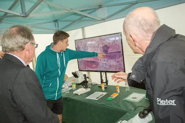 Malvern Autumn Show 2017