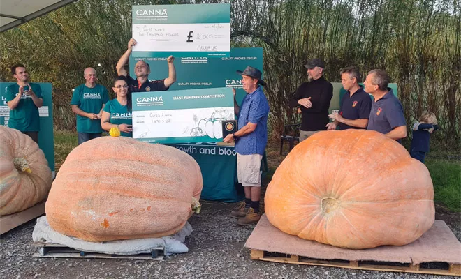 This isn't any ordinary pumpkin time, this is giant pumpkin time!