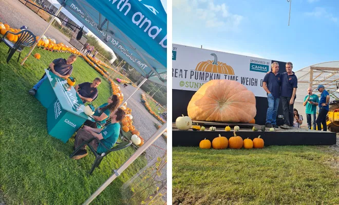 This isn't any ordinary pumpkin time, this is giant pumpkin time!