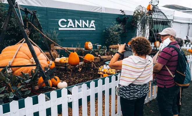 There be Giants! World Record Breaking Vegetables at Malvern Autumn Show 2021