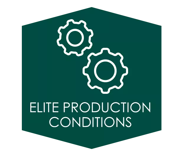 ELITE PRODUCTION CONDITIONS