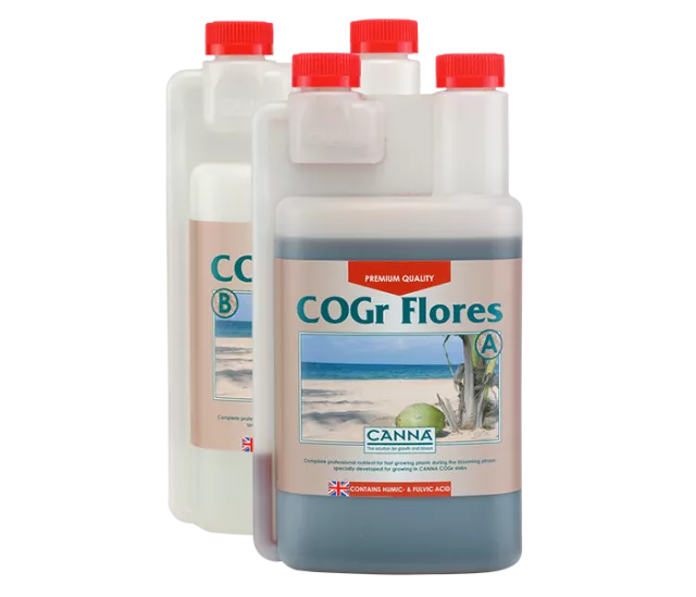 CANNA COGr Flores