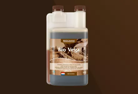 Bio Vega