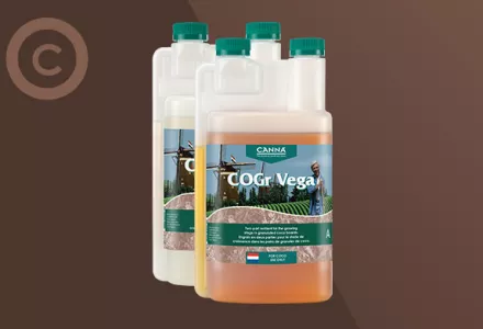 CANNA COGr Vega