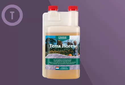 CANNA Terra Flores