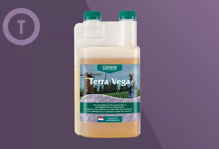 CANNA Terra Vega