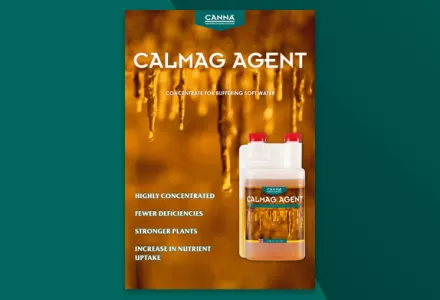 CANNA CALMAG AGENT Leaflet