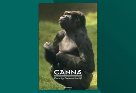 CANNA General Leaflet