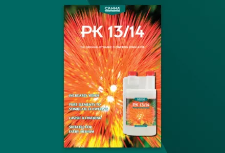 CANNA PK 13/14 Leaflet