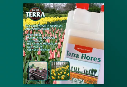 CANNA TERRA Leaflet