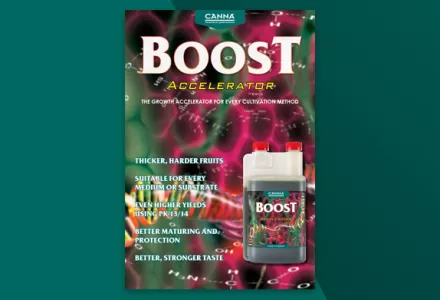 CANNABOOST Leaflet