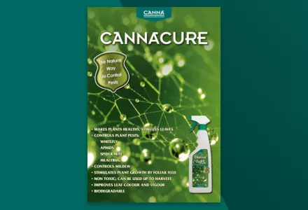 CANNACURE Leaflet