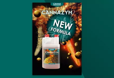 CANNAZYM Leaflet