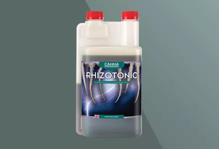 CANNA RHIZOTONIC