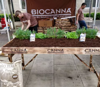 BIOCANNA & Viva! Vegan Festivals in the UK