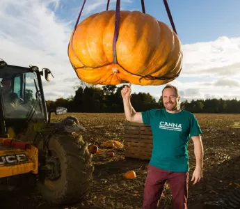 Diary of a pumpkin grower