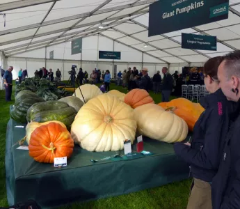 Malvern Autumn Show 2016