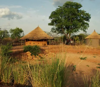 Organic farming in Africa supported by CANNA